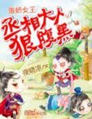傲娇女王:丞相大人狠腹黑