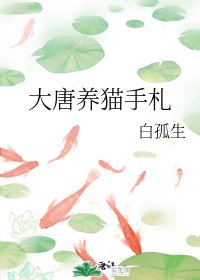 大唐养猫手札