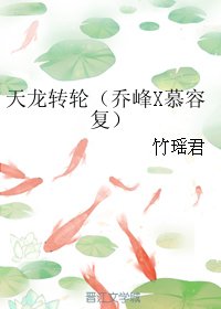(BL/天龙八部同人)天龙转轮(乔峰X慕容复)