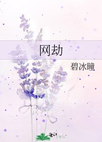 网劫