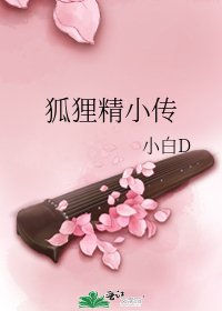 狐狸精小传