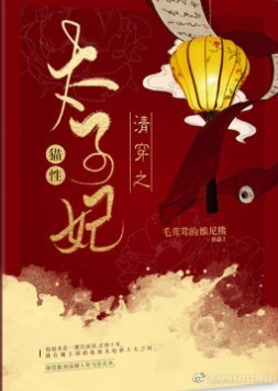清穿之貓形太子妃