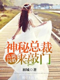 高調閃婚,神秘總裁來敲門