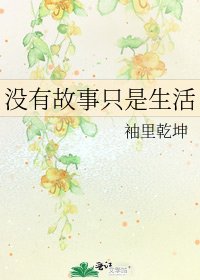 没有故事只是生活