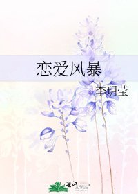恋爱风暴