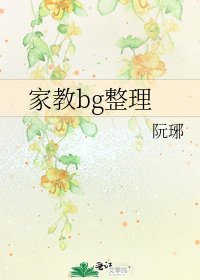家教bg整理