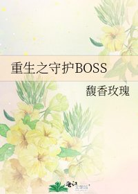 重生之守护BOSS