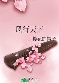 風行天下