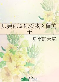 只要你說你愛我之留美子