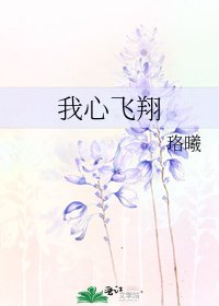 我心飞翔