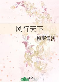風行天下