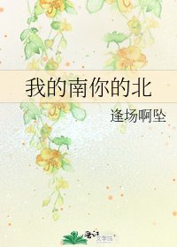 我的南你的北